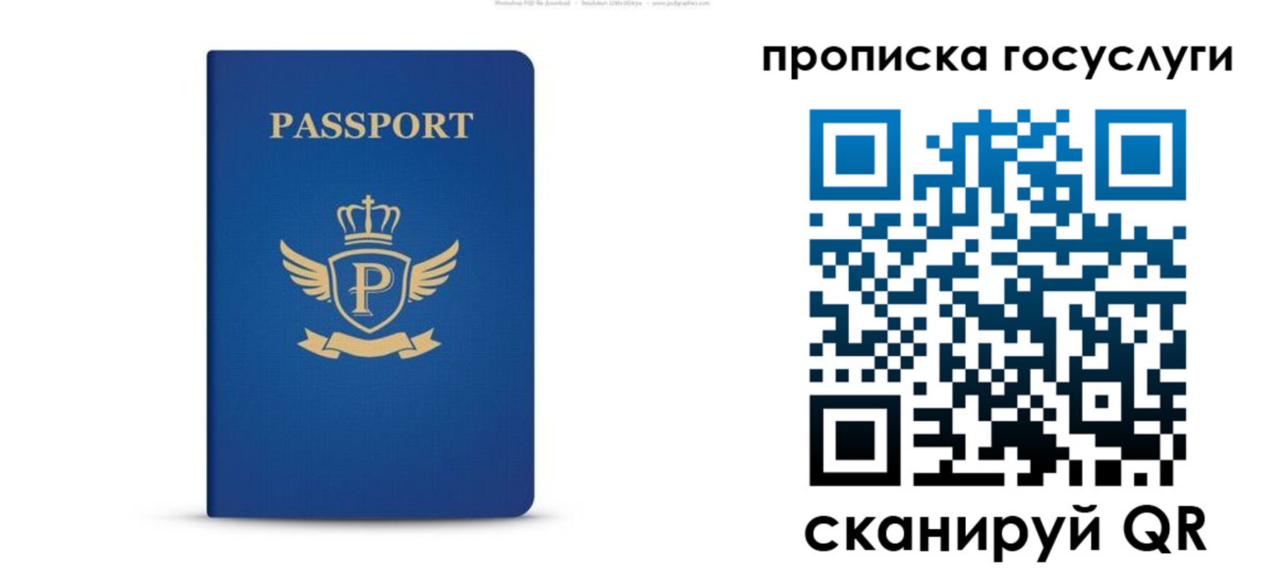 прописка для школы в Тогучине